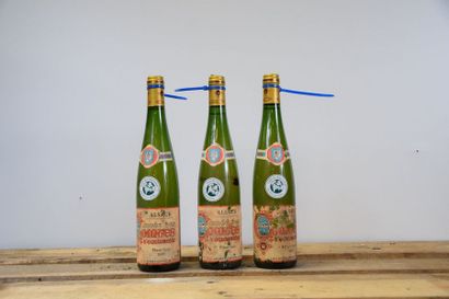null 10 bouteilles PINOT GRIS "Comtes d'Eguisheim", Léon Beyer 2005 (ea) 