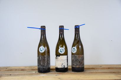 null 11 bouteilles CHASSAGNE-MONTRACHET "Clos Saint-Jean", Thomas Morey 2011 (eta...