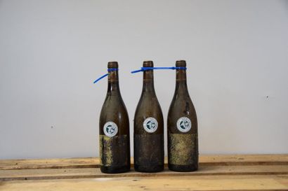 null 12 bouteilles PULIGNY-MONTRACHET François Carillon 2012 (divers crus, ett) 