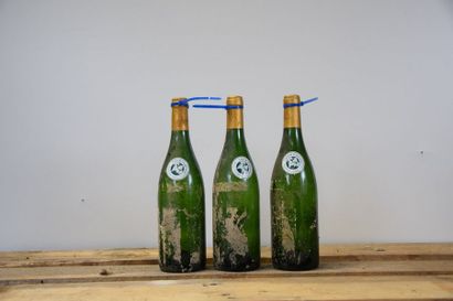 null 12 bouteilles POUILLY-FUISSE "Menetrieres", Ferret 2011 (SE) 