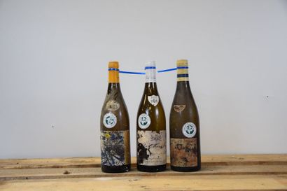 null Ensemble de 12 bouteilles : 6 bouteilles RULLY "Gresigny", Dureuil-Janthial...