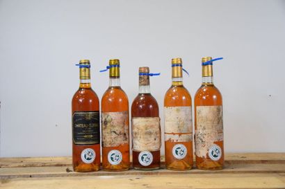 null Ensemble de 5 bouteilles : 1 bouteille Château DOISY-DAENE, 2° cru Barsac 1982...