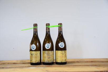 null 12 bouteilles PULIGNY-MONTRACHET "Les Combettes", François Carillon 2012 (e...