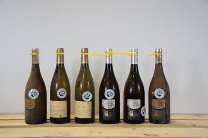 null Ensemble de 6 bouteilles : 4 bouteilles CÔTEAUX DU LAYON "Pont Martin", Domaine...