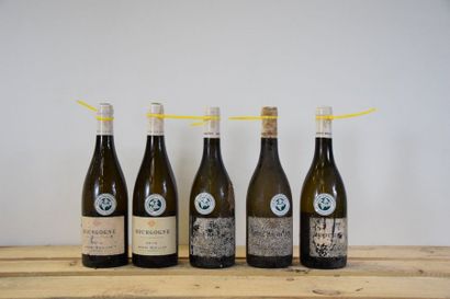 null 5 bouteilles BOURGOGNE Henri Boillot (2 de 2010, 3 de 2012 eta) 