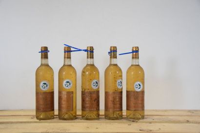 null 5 bouteilles VIN DE RHUBARBE M. Moine 2005 (es) 