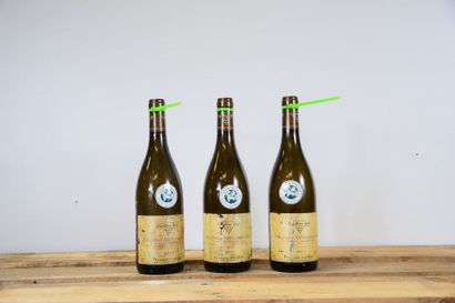 null 12 bouteilles PULIGNY-MONTRACHET "Champs Gain", F. Carillon 2011 (ela, es, ...