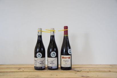 null 4 bouteilles BOURGUEIL "Trinch", Breton 2007 (on joint 2 Anjou de Mosse 2003)...