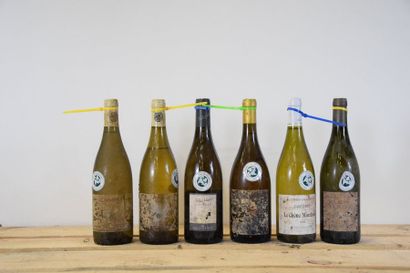 null Ensemble de 6 bouteilles : 1 bouteille SANCERRE "Chêne Marchand", L. Crochet...