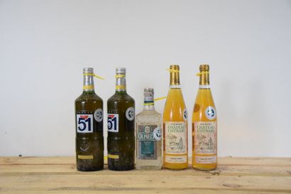null 5 bouteilles SPIRITUEUX DIVERS (2 Pastis 51, 1 Tequila, 2 Cotnari) 