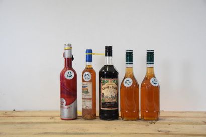 null 5 bouteilles SPIRITUEUX DIVERS (Griottines, Carthagène, Crèmes) 