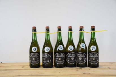 null 12 bouteilles CIDRE "Bolée d'Armorique", L. Raison 