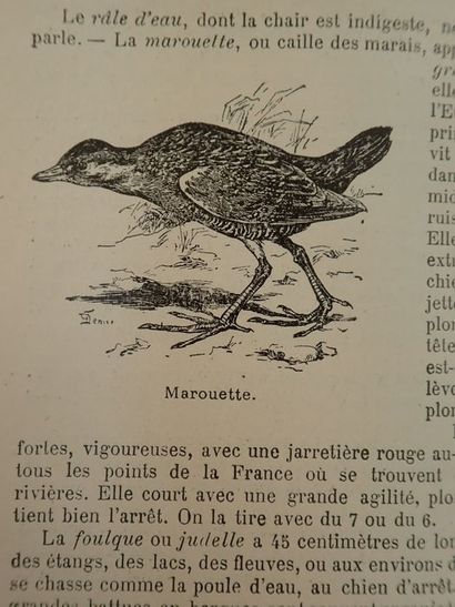 Collectif. La chasse moderne. Encyclopédie du chasseur Paris, Larousse, sans date...