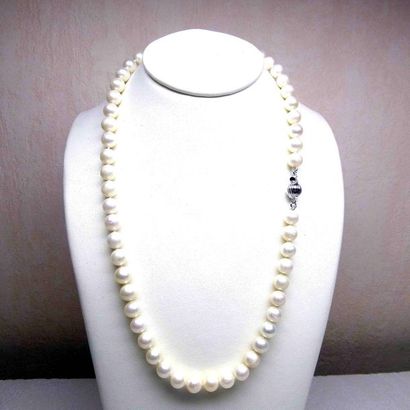 null Necklace of cultured pearls, silver clasp (one knot between each pearl) Diameter...