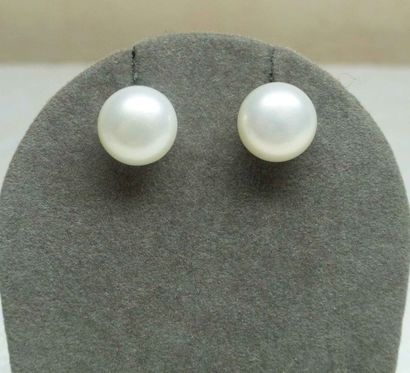 null Pair of EARRINGS made of cultured pearls "button" shape. Silver frame. Diameter:...
