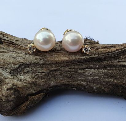 null PAIRE de BOUCLES d'OREILLES ornée par 2 perles AKOYA de très belle qualité et...
