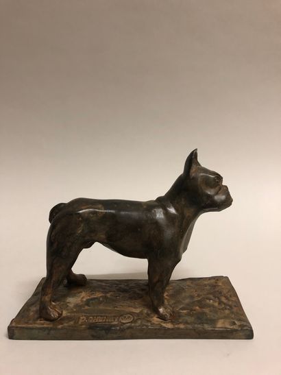 null Pierre CHENET (20th century). Bulldog. Bronze with ochre patina, stamped by...