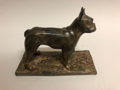 null Pierre CHENET (20th century). Bulldog. Bronze with ochre patina, stamped by...