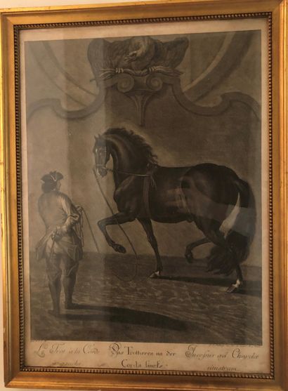 null D’après Johann Elias RIDINGER (1698-1767) Le trot à la corde et Pirouette sur...