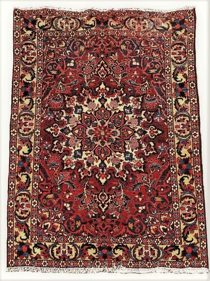 null Bakhtiar carpet (Persia) West Iran, cotton weft and warp, wool velvet, dark...