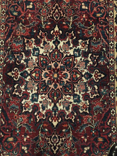 null Bakhtiar carpet (Persia) West Iran, cotton weft and warp, wool velvet, dark...