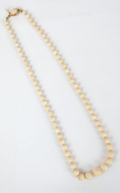 null Collier d'importantes perles de corail blanches, rondes, disposées en légère...