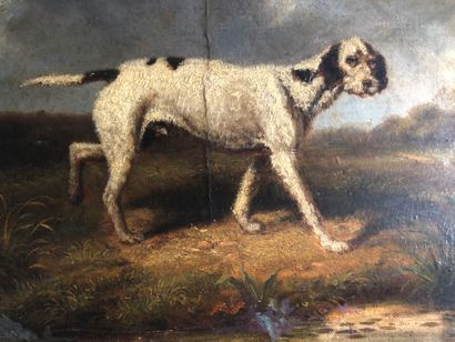 null Ecole FRANCAISE fin XIX ème, Chien de chasse, huile sur toile marouflée sur...