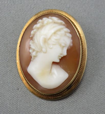null Pendant / Cameo brooch

 in gold 750°/00, with an oval shell cameo depicting...