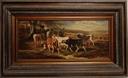 null Attribué à William Sidney COOPER (1854-1927),Vaches au champ, huile sur panneau...