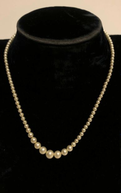 null Necklace of cultured pearls arranged in fall from 6 mm to 2.8 mm in diameter....