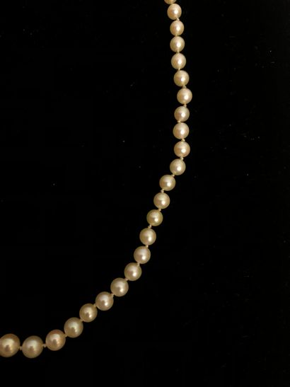null Necklace of cultured pearls arranged in fall from 7.5 mm to 3 mm in diameter....