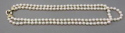 2 Row Cultured Pearl Necklace, choker 
 clasp...