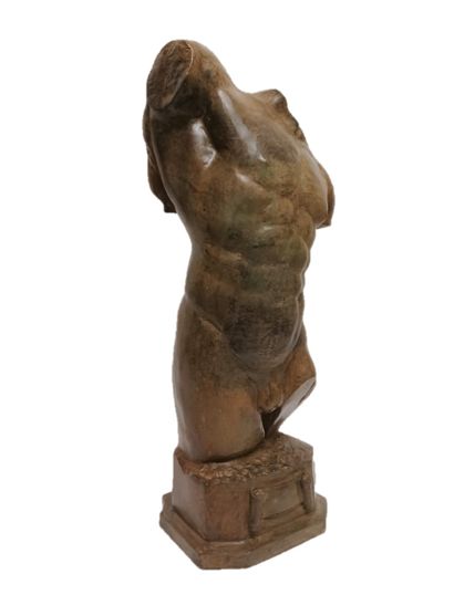 null Pierre CHENET (XX-XXI eme).male torso, patinated bronze. Signed. Height: 48...