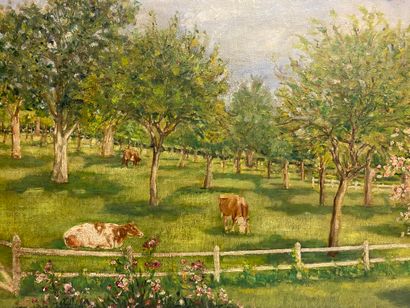 null Ecole FRANCAISE, XXème siècle. Vaches dans un pré, huile sur toile. 46 x 61...