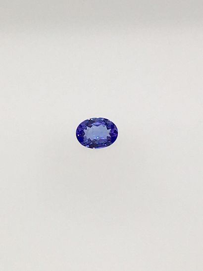 
1 JOLIE TANZANITE taille Ovale. Couleur...