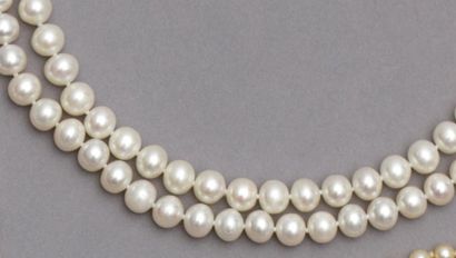 null Sautoir en perles de culture naturelles diamètre 7,5 / 8 mm d'une longueur de...