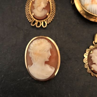 null LOT of gold 750 mm including :
- two pendants, one of which is a gold cameo...