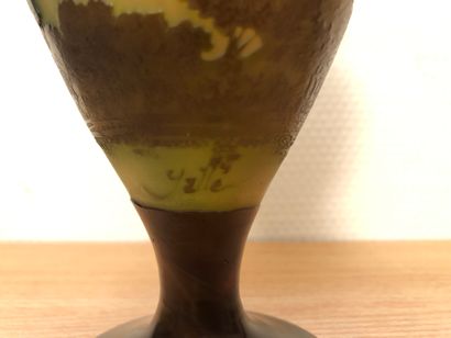 null Etablissements GALLE.
Vase de forme ovoïde en verre multicouche à décor dégagé...