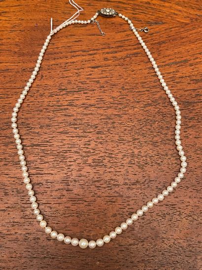 null Necklace of pearls in fall.