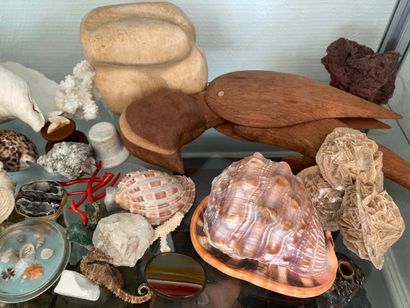 null Lot of minerals, shells, travel souvenirs ...
