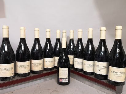12 bouteilles ESPAGNE - EL CHAPARRAL - VEGA...