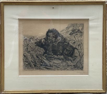 Evert VAN MUYDEN (1853-1922). Lion dévorant...
