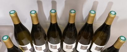 null 8 bouteilles SAINT JOSEPH Blanc - Christophe PICHON 2009 Etiquettes légèrement...