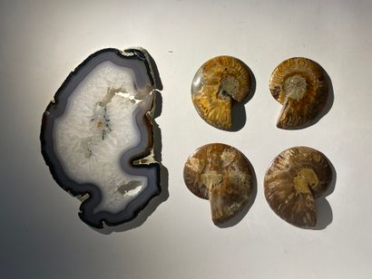 null Lot including 4 amonites (two pairs) and an agate slice.