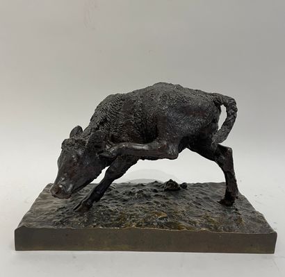 null After a model by Anne Marie CARL NIELSEN (1863-1945). A heifer. Bronze with...