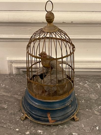 null Singing bird cage in polychrome sheet metal. Height: 27 cm.