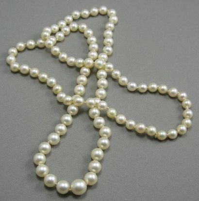 null Long Collier de Perles de Culture en légère chute. ø des perles de 6 mm à 9...