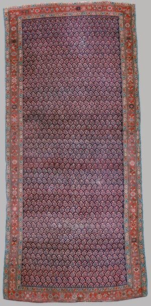 null BAKCHEICH, Kurde, vers 1880, 

Tapis en laine polychrome à fond bleu marine...