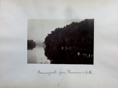 ARGENTINE. ARGENTINE. Paysages panoramiques. Forêt des Arraynes - Lago Moreno - Idem...