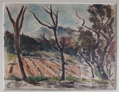 null André DUNOYER DE SEGONZAC (1884-1974),

Vignes devant la Sainte Victoire,

aquarelle...